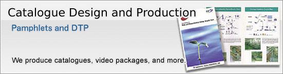catalogue Design and Production